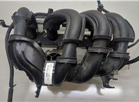  Коллектор впускной Ford Fiesta 2001-2007 20579459 #1