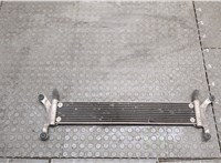 Радиатор охлаждения двигателя Volkswagen Touareg 2002-2007 20579487 #1