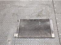55700406 Радиатор кондиционера Opel Corsa D 2006-2014 20579602 #1
