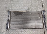  Радиатор охлаждения двигателя Ford C-Max 2002-2010 20579612 #2