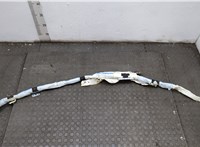 BC3428042D95AG, BC3Z28042D95C Подушка безопасности боковая (шторка) Ford F-250 2010-2016 20579816 #1