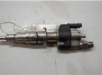 13538616079 Форсунка топливная BMW X6 E71 2007-2014 20580237 #1