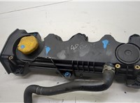  Крышка клапанная ДВС Opel Signum 20580325 #1