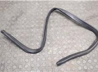  Уплотнитель Mercedes GL X164 2006-2012 20580383 #1