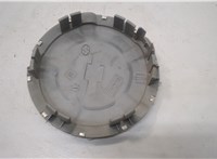 9596677 Колпак колесный Chevrolet Trailblazer 2001-2010 20580816 #2