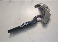  Петля капота Volkswagen Passat CC 2008-2012 20581093 #1