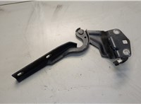  Петля капота Volkswagen Passat CC 2008-2012 20581093 #2