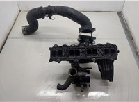  Коллектор впускной Mercedes Sprinter 2006-2018 20581720 #2