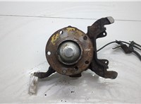31226757024, 6757024, 31211096429, 1096429 Ступица (кулак, цапфа) BMW 3 E46 1998-2006 20581830 #1