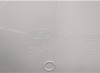 8230206200QG Дверная карта (Обшивка двери) Hyundai Atos (Amica) 1997-2003 20582406 #6