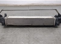  Радиатор интеркулера BMW X2 (F39) 2017-2023 20582539 #2