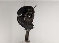  Ступица (кулак, цапфа) BMW X6 E71 2007-2014 20582975 #1