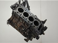 65195531106105 Блок цилиндров (Шорт блок) Mercedes Sprinter 2006-2018 20583185 #1