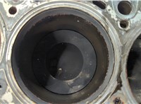 65195531106105 Блок цилиндров (Шорт блок) Mercedes Sprinter 2006-2018 20583185 #14
