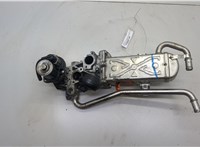  Клапан рециркуляции газов (EGR) Seat Ibiza 4 2008-2015 20583241 #1