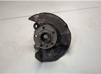  Ступица (кулак, цапфа) Volkswagen Transporter 5 2003-2015 20583245 #1