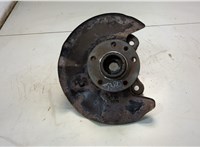  Ступица (кулак, цапфа) Volkswagen Transporter 5 2003-2015 20583404 #1