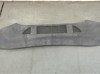  Пластик (обшивка) моторного отсека Ford Mustang Mach-E 20583583 #1