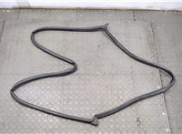  Уплотнитель Volkswagen Touareg 2002-2007 20583891 #1