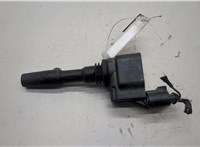 05E905110 Катушка зажигания Skoda Octavia (A7) 2013-2023 20583994 #1