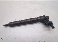  Форсунка топливная Land Rover Freelander 2 2006-2014 20584101 #1