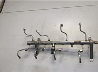 Рампа (рейка) топливная Porsche Cayenne 2002-2010 20584496 #1