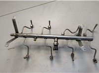  Рампа (рейка) топливная Porsche Cayenne 2002-2010 20584496 #2
