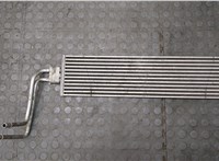 17217583843, 7583843 Радиатор гидроусилителя BMW 5 F07 Gran Turismo 2010-2017 20584703 #1