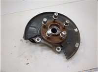  Ступица (кулак, цапфа) Chevrolet Volt 2010-2015 20585384 #1