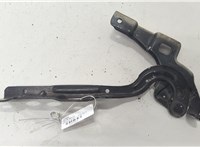 9687536880 Петля капота Citroen C4 2010-2020 20585434 #1