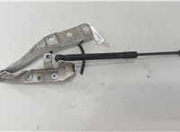 9803222580 Петля капота Citroen DS5 2012-2015 20585467 #2