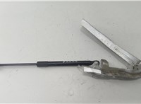 9686611580 Петля капота Citroen DS5 2012-2015 20585474 #1