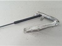 9686611580 Петля капота Citroen DS5 2012-2015 20585474 #2