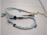  Подушка безопасности боковая (шторка) Lexus RX 2003-2009 20586446 #1