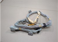  Подушка безопасности боковая (шторка) Lexus RX 2003-2009 20586449 #2