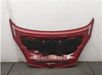  Капот Nissan Note E11 2005-2013 20586725 #4