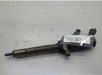 1633633, 9M5Q9F593AA Форсунка топливная Ford Focus 2 2008-2011 20587037 #1