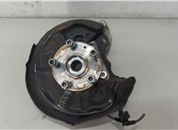  Ступица (кулак, цапфа) Volkswagen Tiguan 2016-2020 20588122 #1