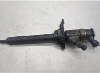  Форсунка топливная Peugeot 5008 2009-2016 20588404 #1