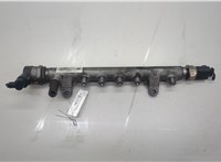 03L130089 Рампа (рейка) топливная Volkswagen Passat CC 2008-2012 20588891 #1