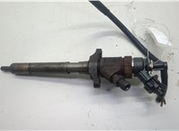 0445110353 Форсунка топливная Ford Focus 2 2008-2011 20588916 #1