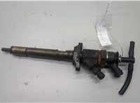 0445110353 Форсунка топливная Ford Focus 2 2008-2011 20588919 #1
