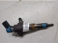  Форсунка топливная Peugeot 5008 2009-2016 20589271 #7