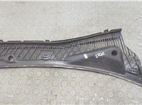 1136384 Жабо под дворники (дождевик) Ford Focus 1 1998-2004 20589317 #3