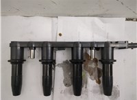  Катушка зажигания Opel Astra H 2004-2010 20589337 #1