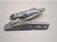 2005190, AM5116801BF Петля капота Ford C-Max 2010-2015 20589422 #1