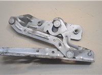 2005190, AM5116801BF Петля капота Ford C-Max 2010-2015 20589422 #2