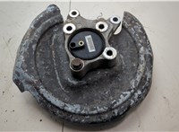 9820098380 Ступица (кулак, цапфа) Peugeot 3008 2016-2020 20589428 #3