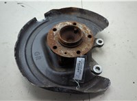 9820098380 Ступица (кулак, цапфа) Peugeot 3008 2016-2020 20589432 #1