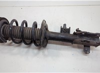  Амортизатор подвески Ford Mustang Mach-E 20589943 #1